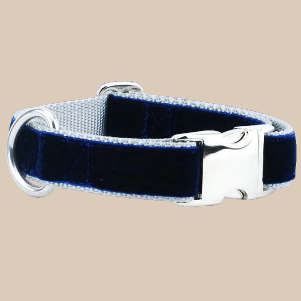 Navy & Silver Holiday Velvet Dog Collar | 2 Hounds Design