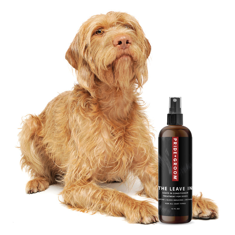 Pride + Groom The Leave In – Reparative & Detangling Leave-In Conditioner for Dogs