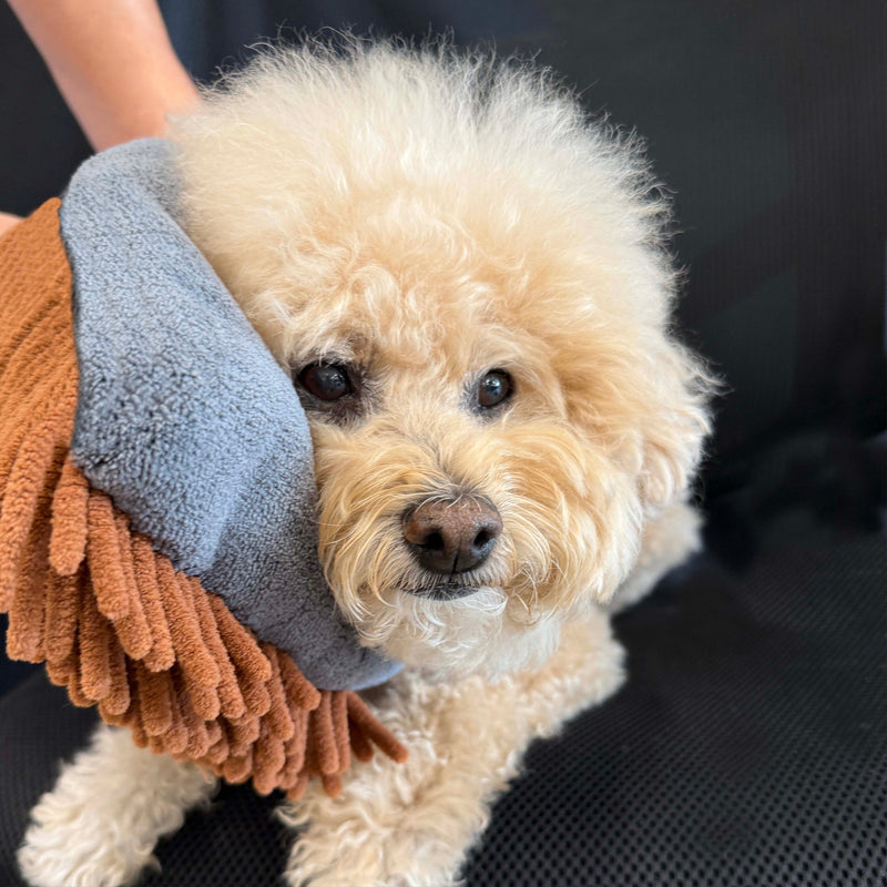 Pride + Groom Magic Mitt – Dual-Sided Microfiber Grooming & Bath Mitts