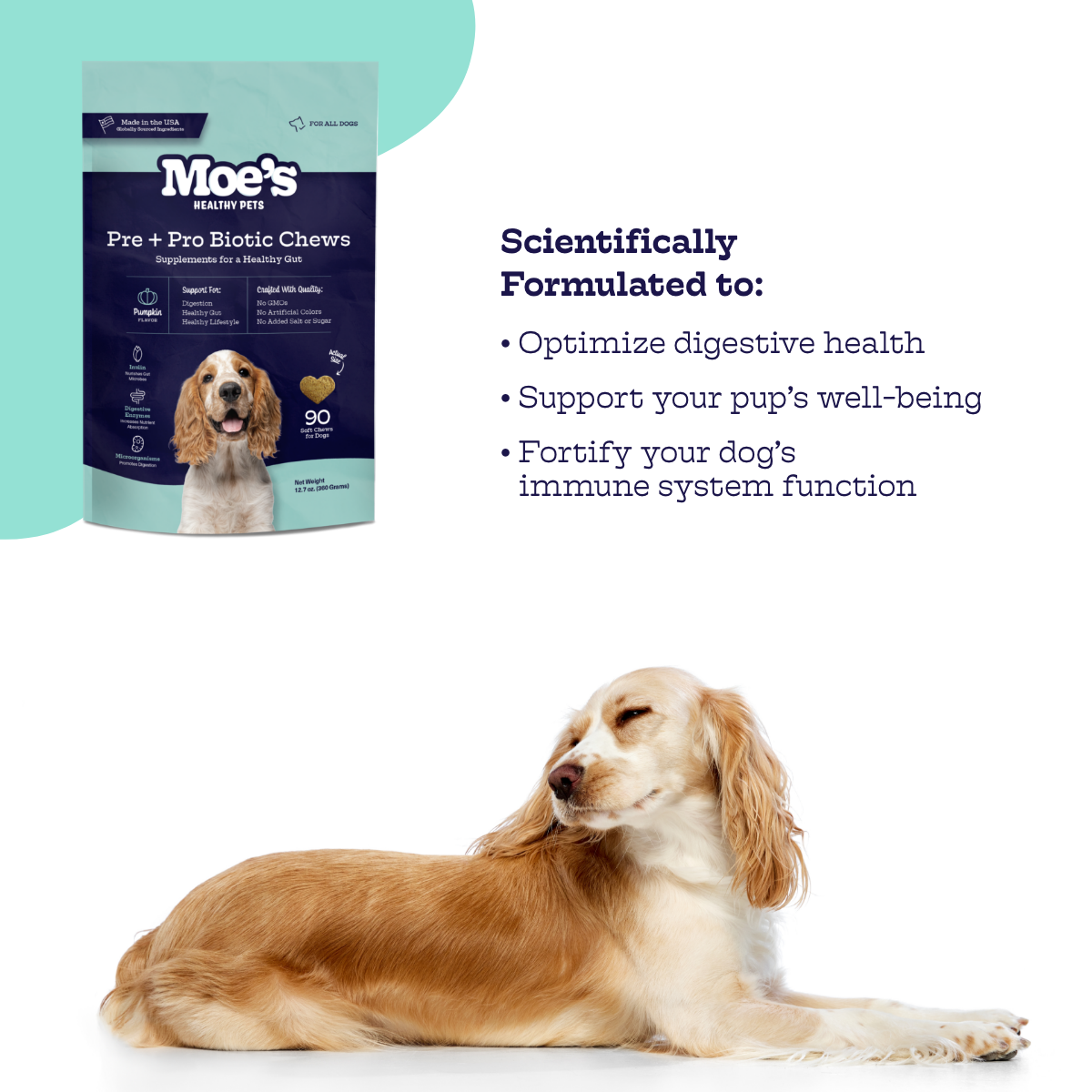 Moe’s Pre + Pro Biotic Chews – Digestive & Gut Health Support for Dogs
