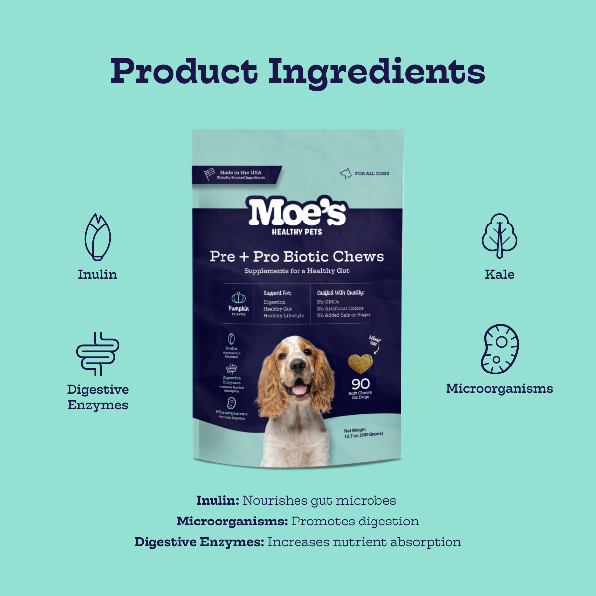 Moe’s Pre + Pro Biotic Chews – Digestive & Gut Health Support for Dogs