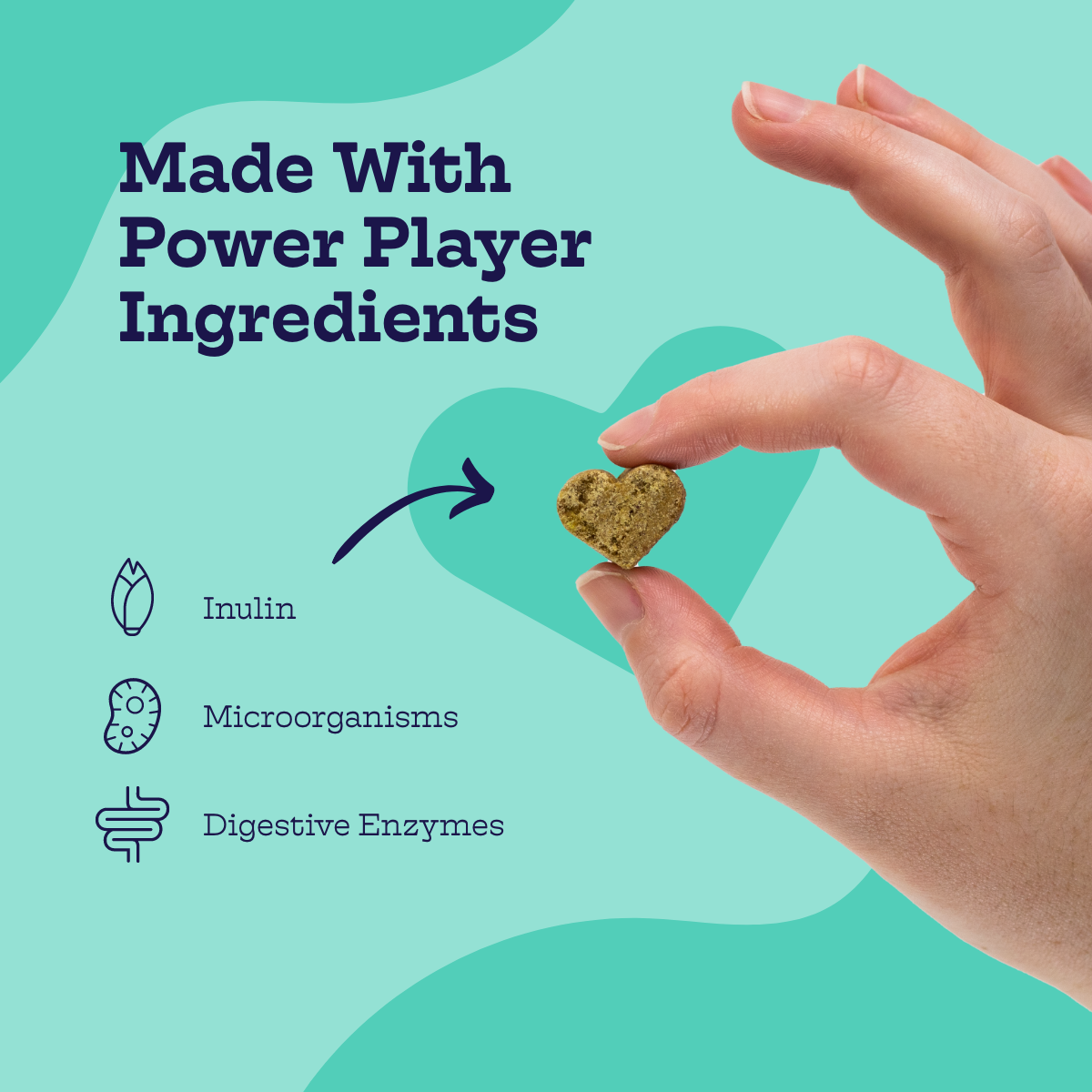 Moe’s Pre + Pro Biotic Chews – Digestive & Gut Health Support for Dogs