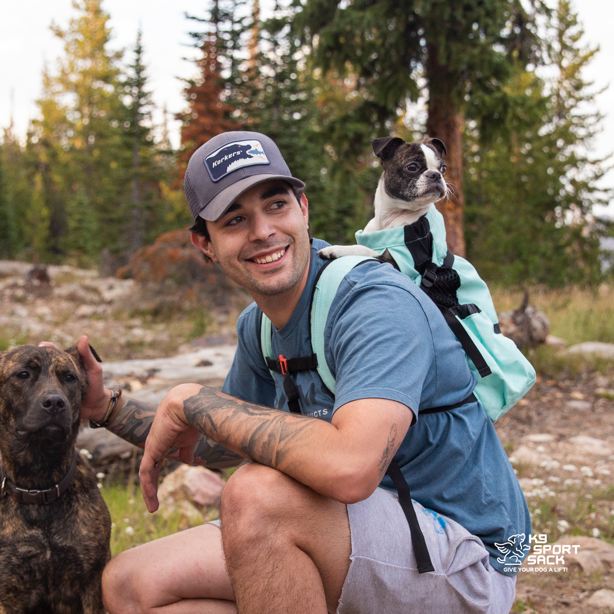 K9 Sport Sack® Air 2 Dog Carrier Backpack – Breathable, Durable Comfort for Dogs