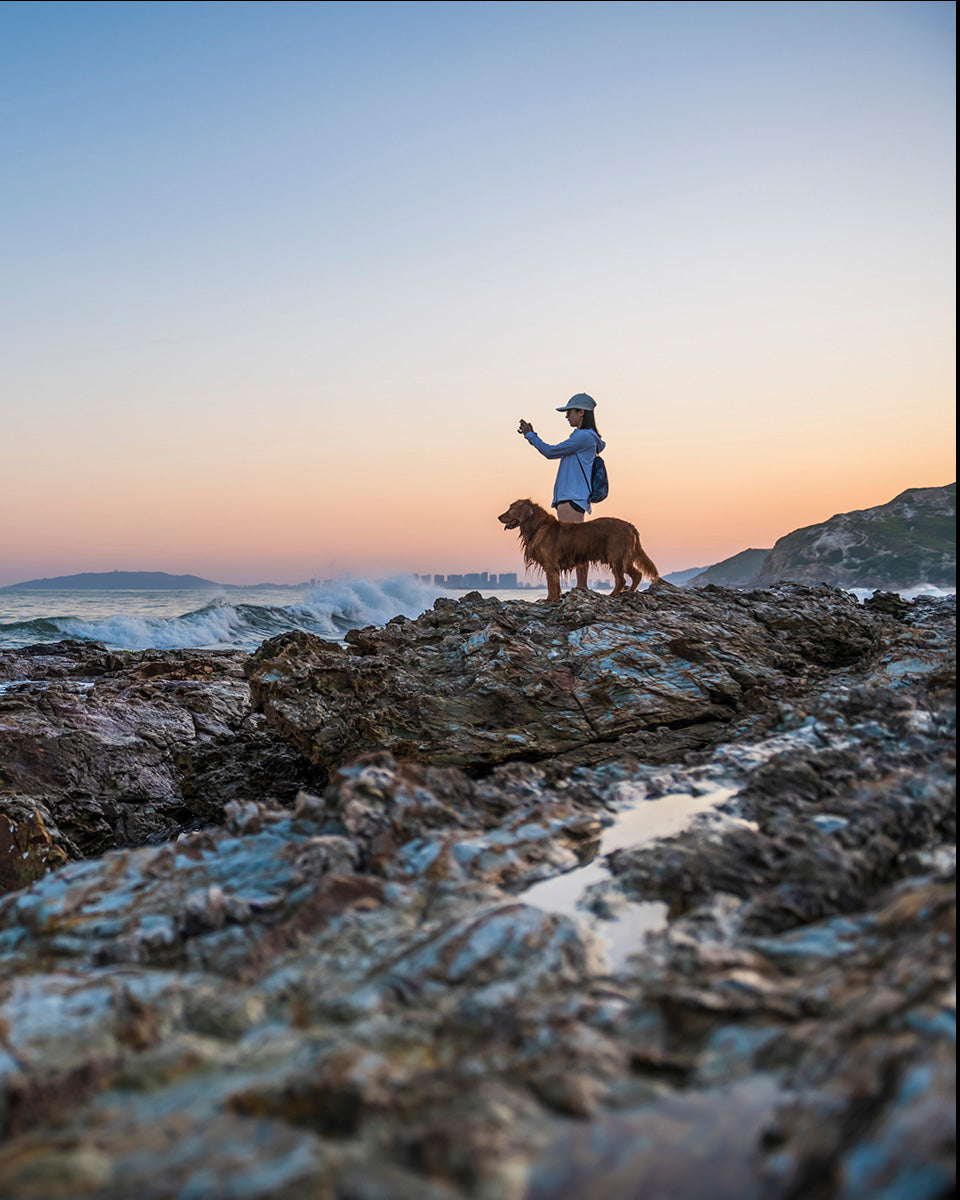 Person and dog standing on rocky shore at sunset