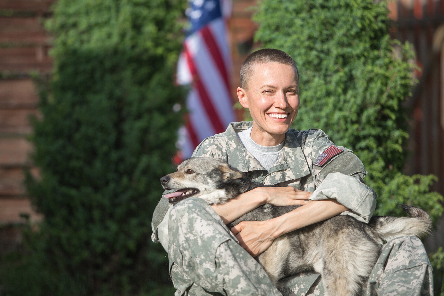 Person in military uniform holding a dog with an American flag in the background