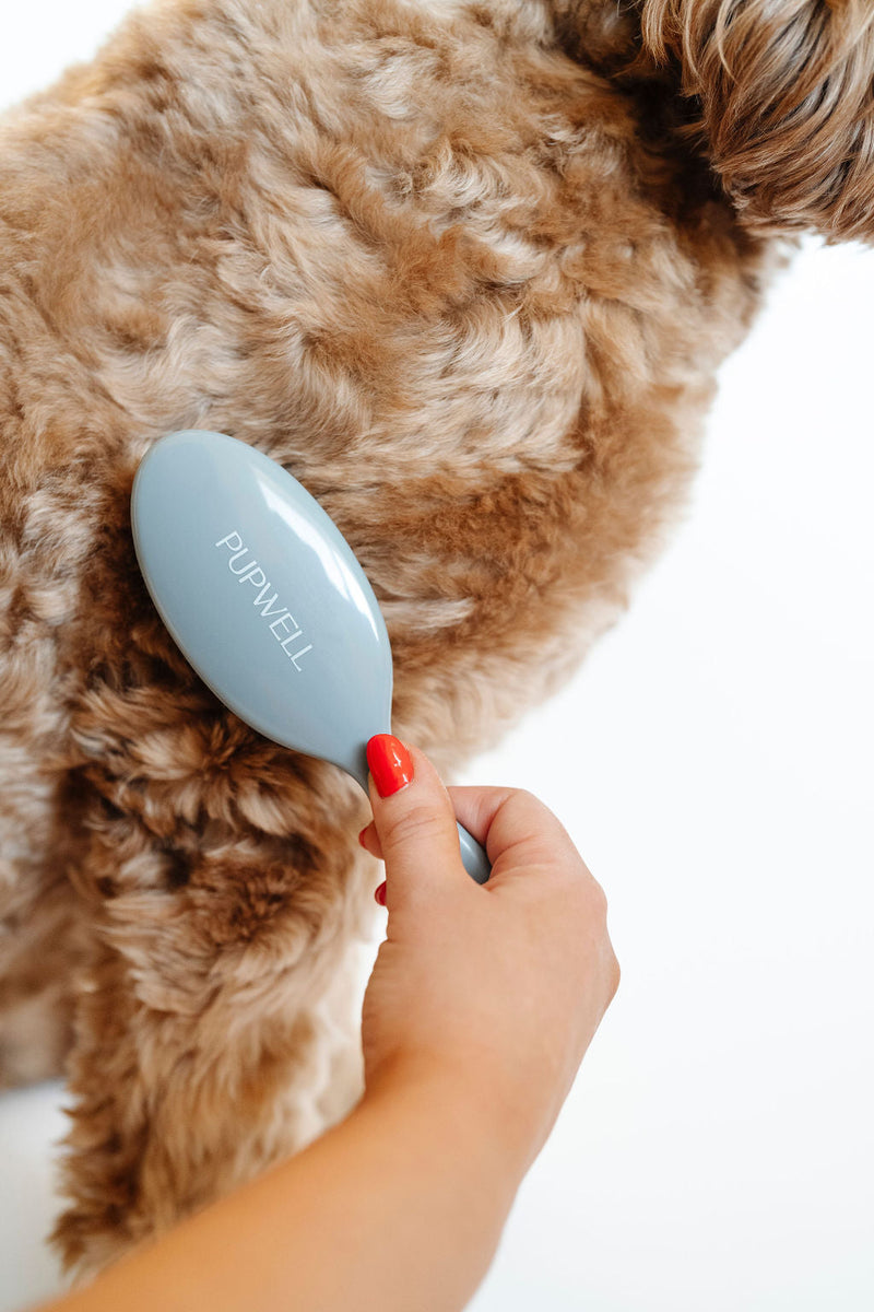 Upwell Gentle Detangling Brush