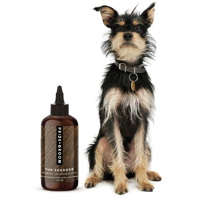 Pride + Groom The Shedder – Deshedding & Hydrating Dog Shampoo