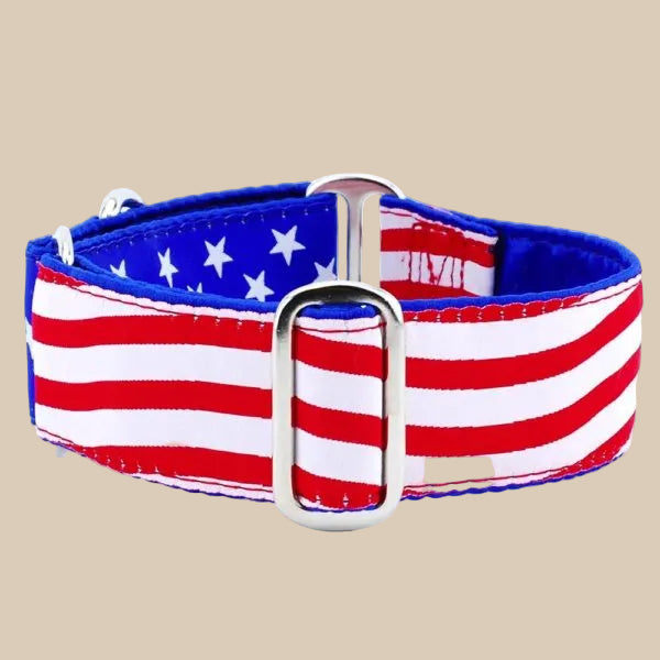 Stars & Stripes Dog Collar | Exclusive 2 Hounds Design