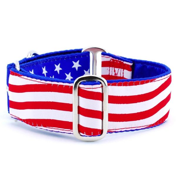 Stars & Stripes Dog Collar | Exclusive 2 Hounds Design