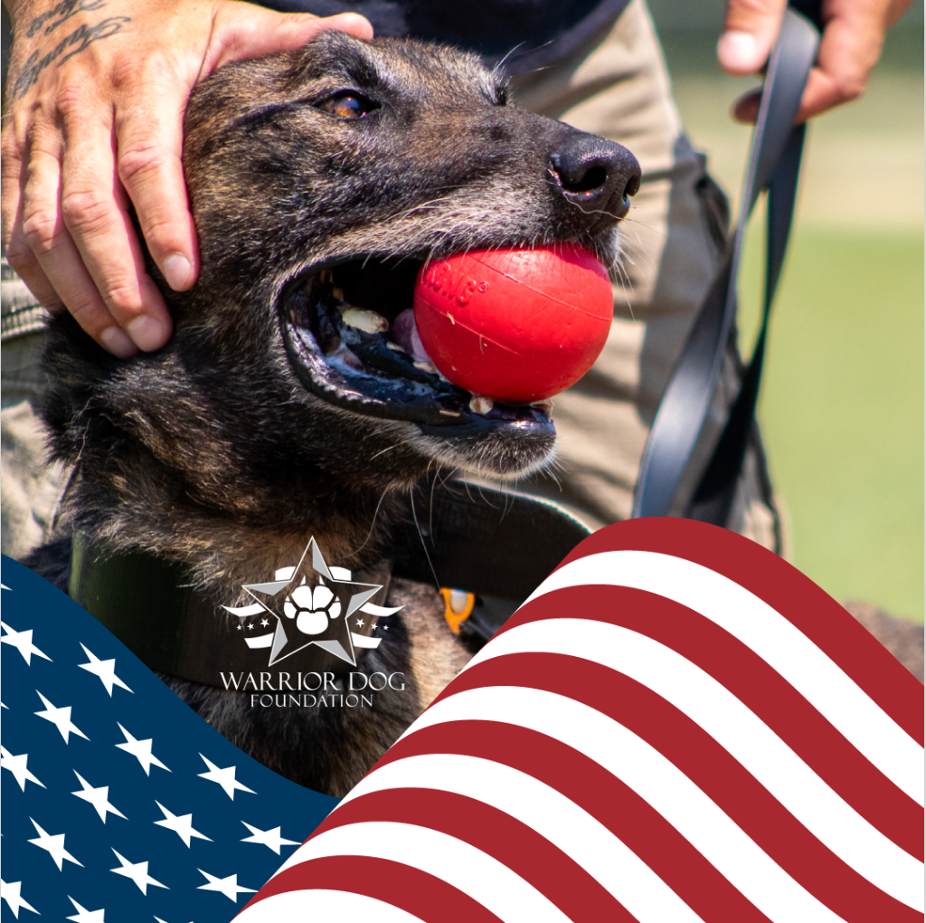 Dog with a red ball in its mouth, wearing a 'Warrior Dog Foundation' collar, with an American flag in the background.