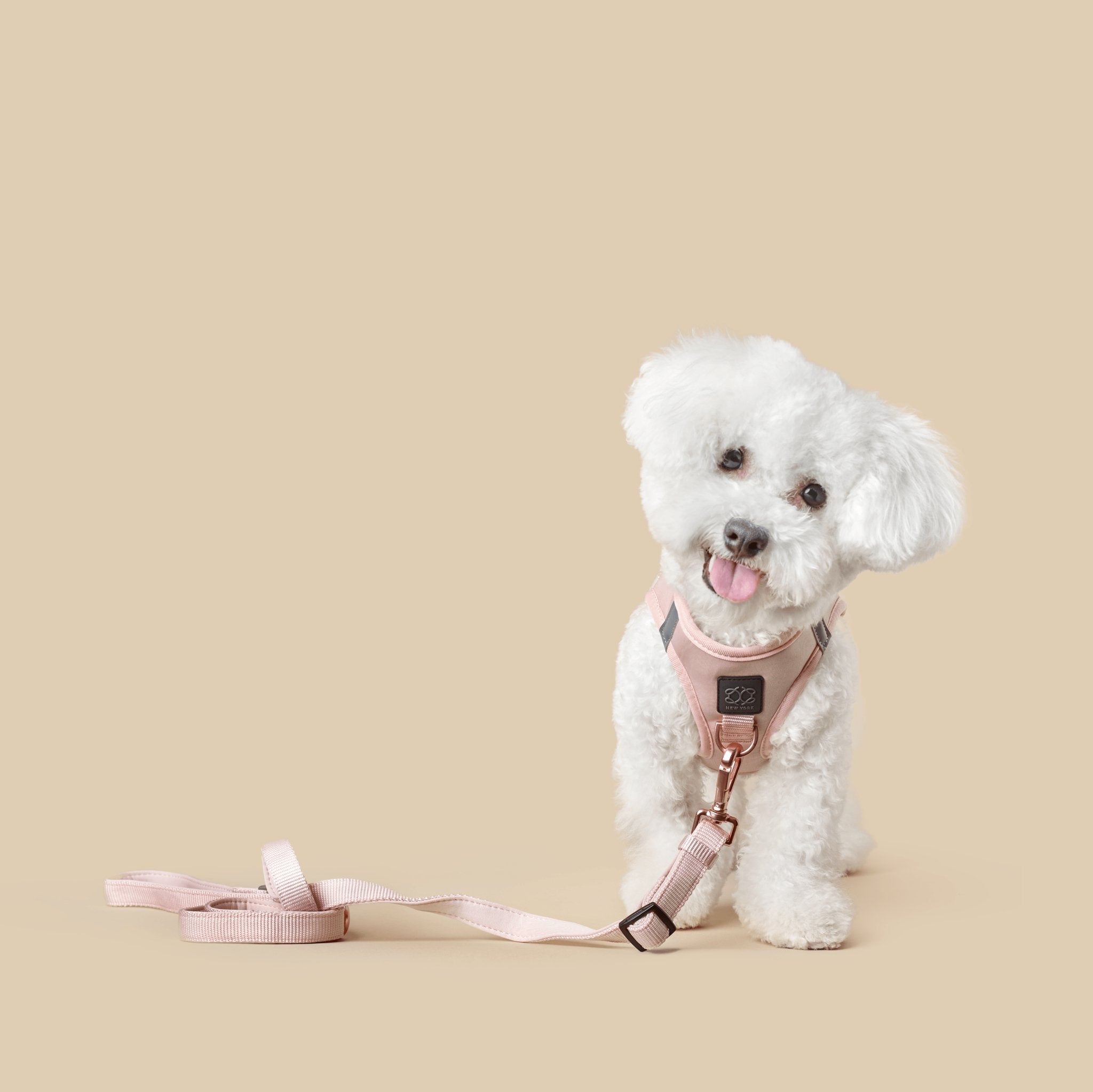 Dogistry SoHo Harness