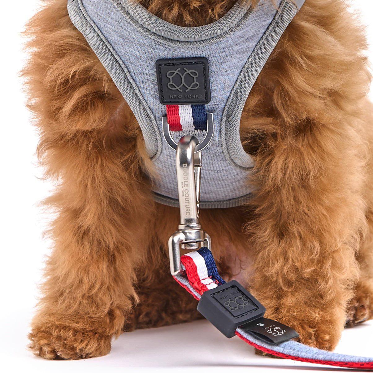 Dogistry SoHo Harness