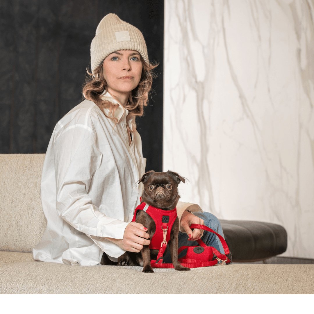 Dogistry SoHo Harness