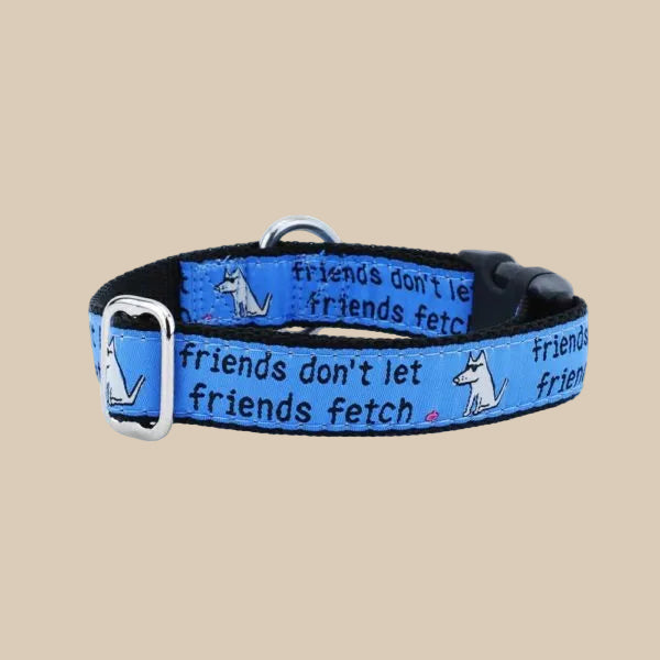 Friends Don’t Let Friends Fetch Dog Collar | 2 Hounds Design × Teddy the Dog