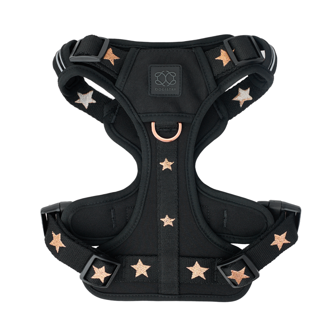 Nomad Dog Harness | Dogistry