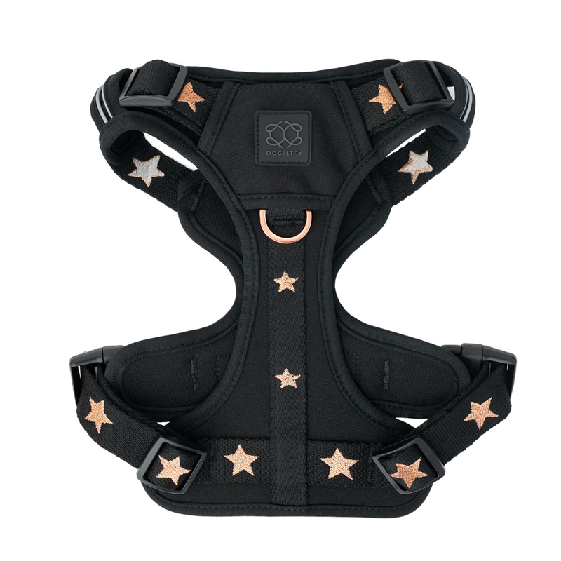 Nomad Dog Harness | Dogistry