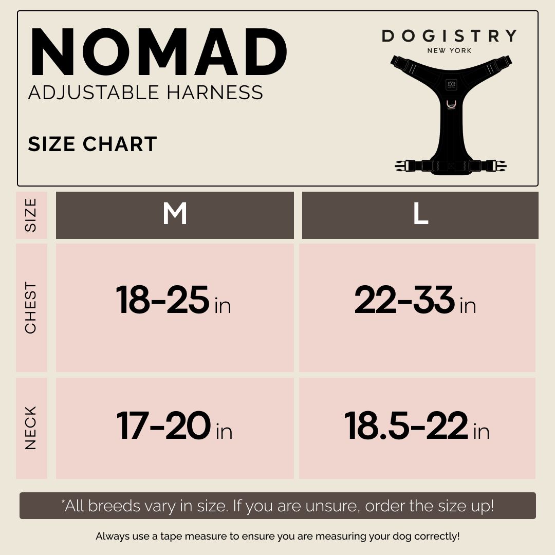 Nomad Dog Harness | Dogistry