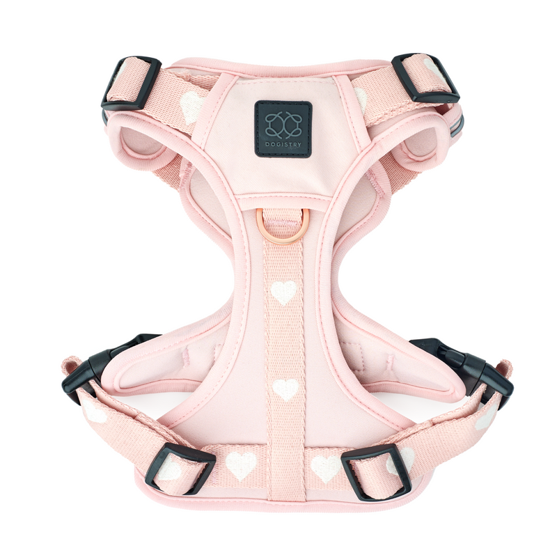 Nomad Dog Harness | Dogistry