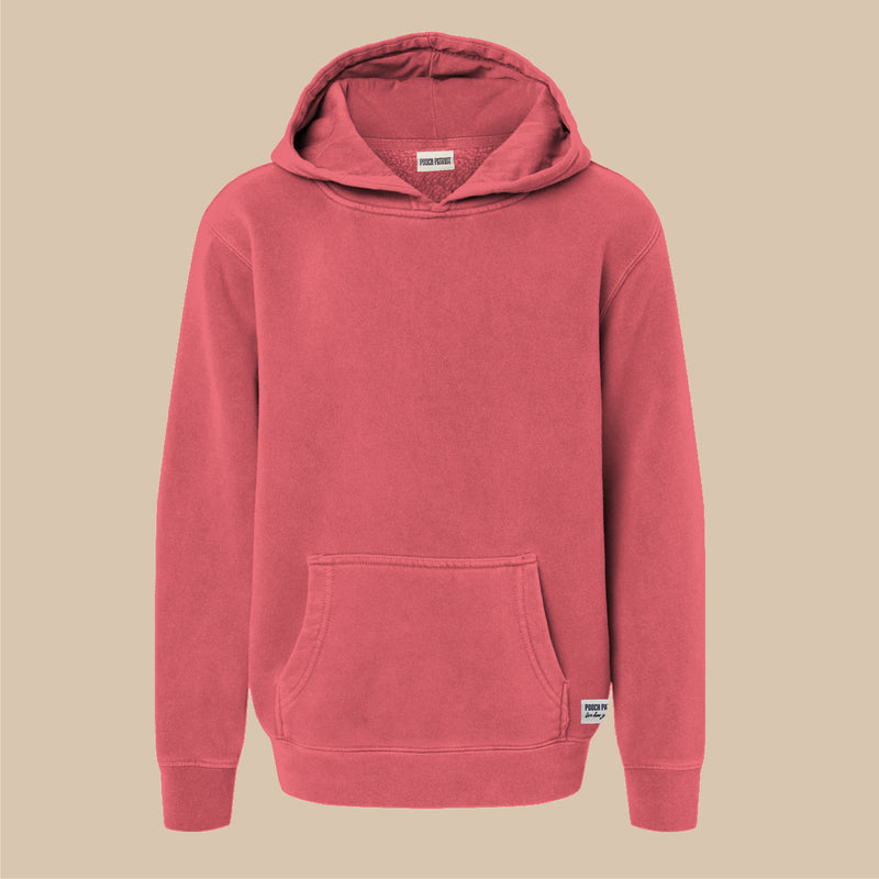 The Beagle Youth Hoodie