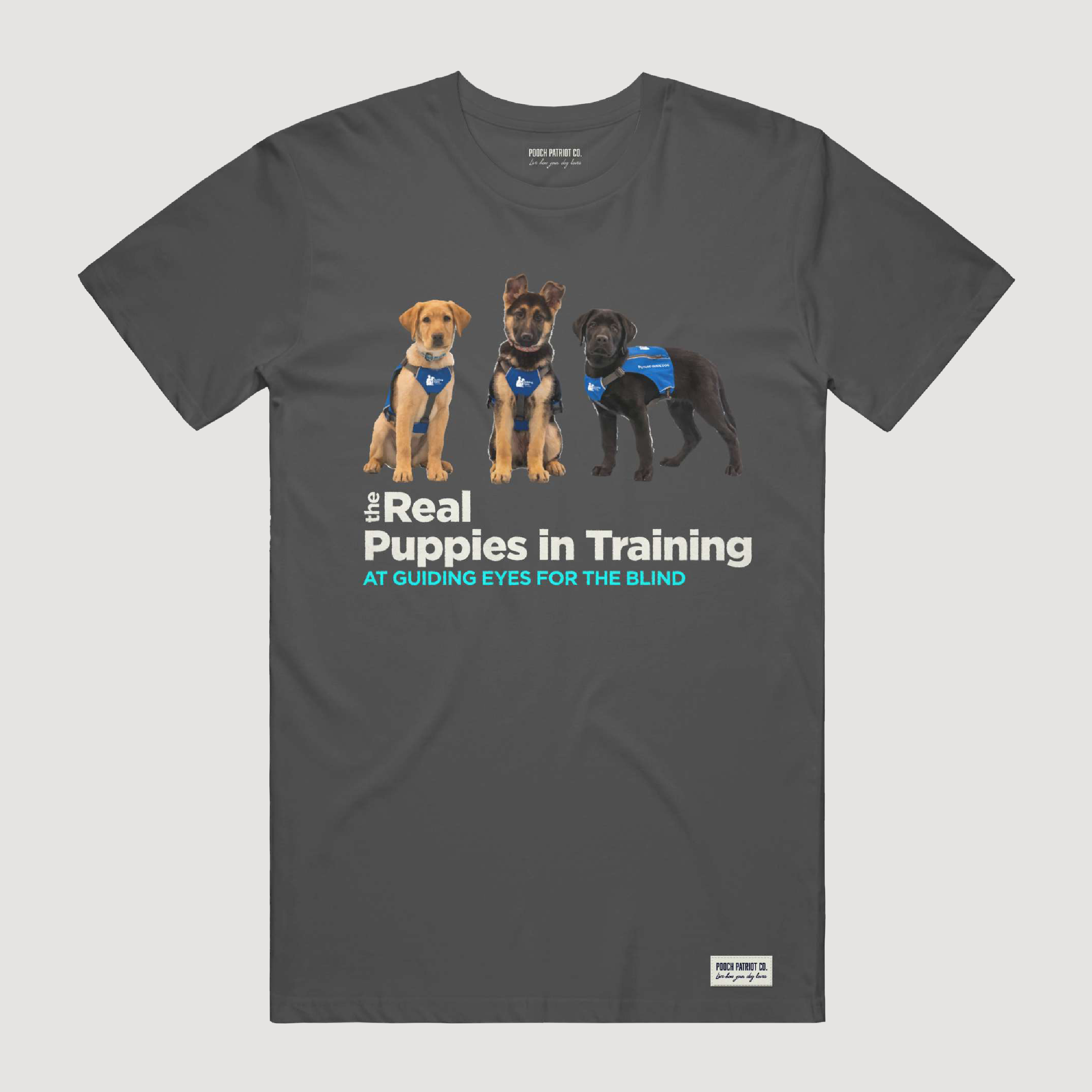 The Real Puppies of Guiding Eyes for the Blind