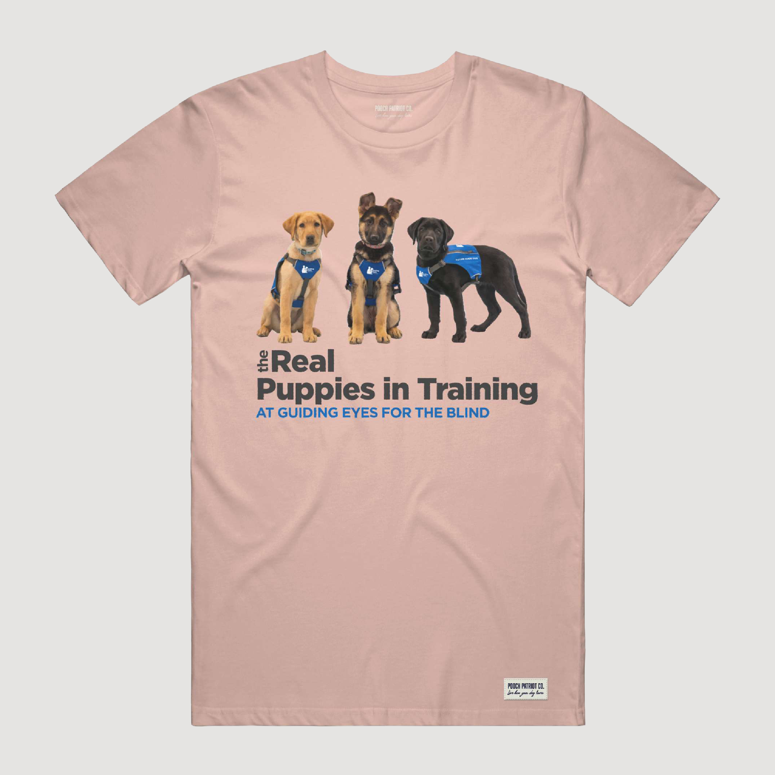 The Real Puppies of Guiding Eyes for the Blind