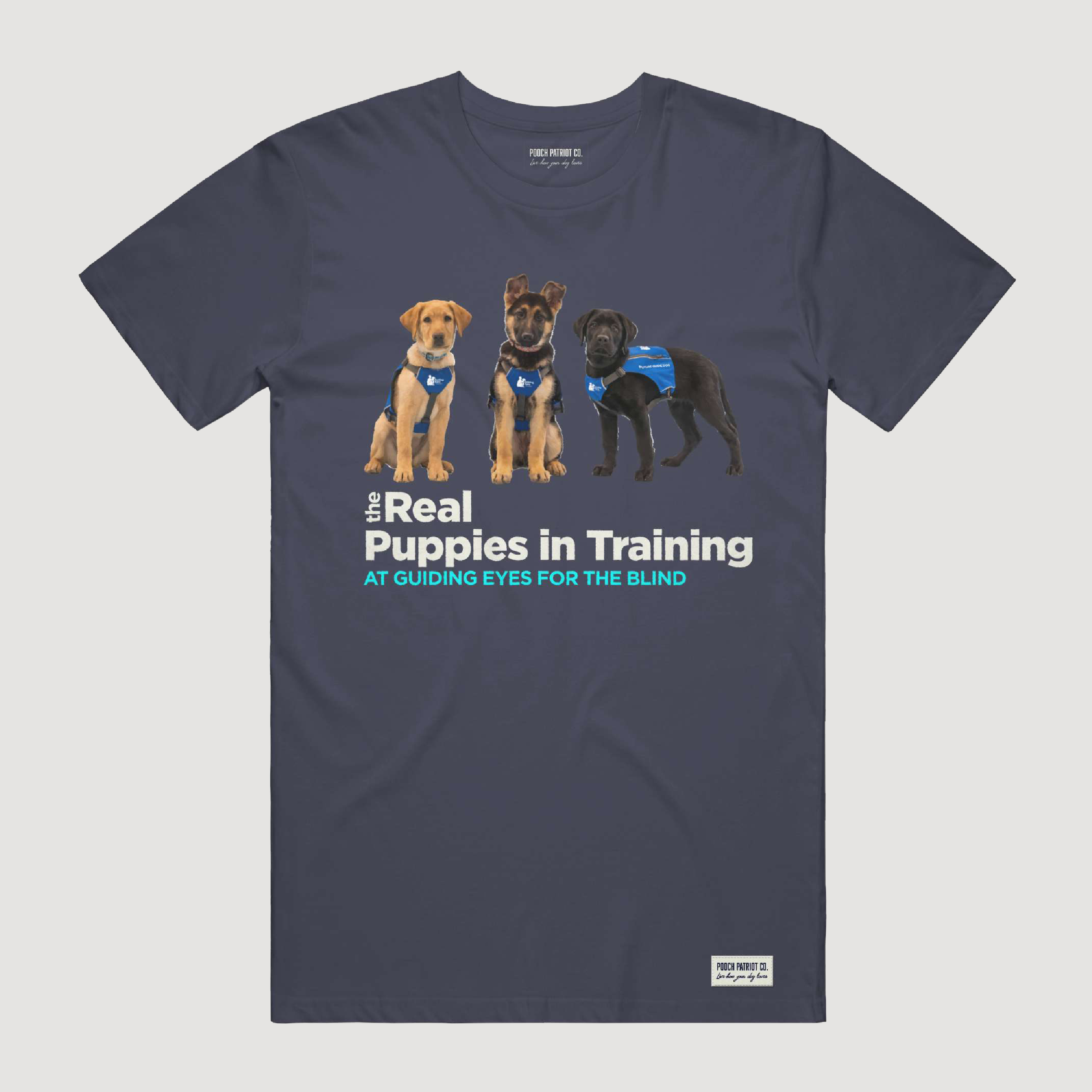 The Real Puppies of Guiding Eyes for the Blind