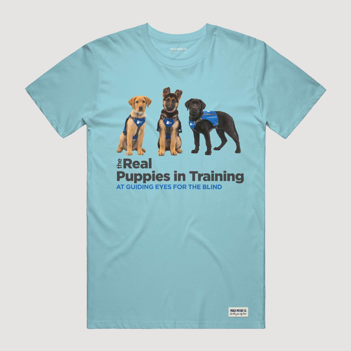 The Real Puppies of Guiding Eyes for the Blind