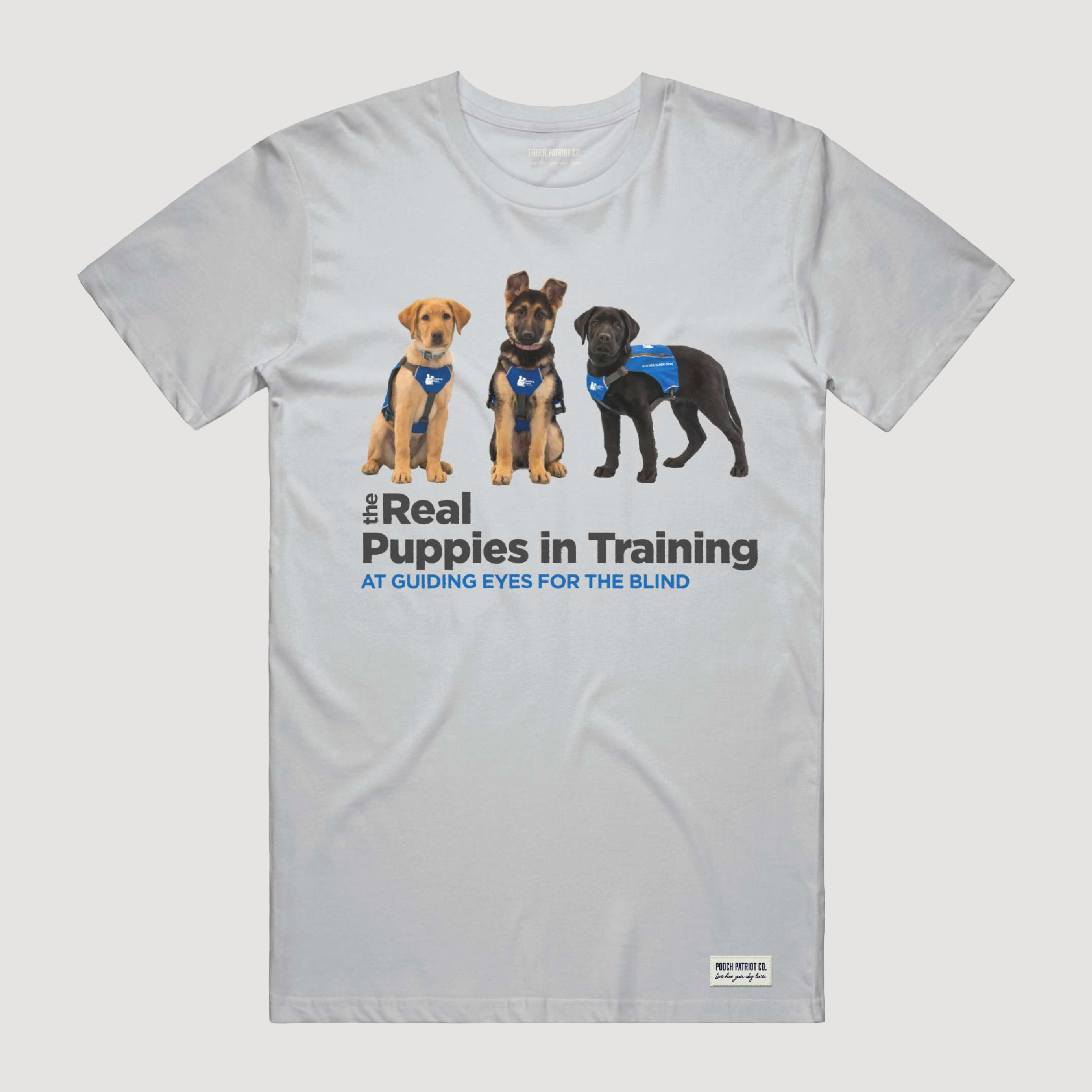 The Real Puppies of Guiding Eyes for the Blind