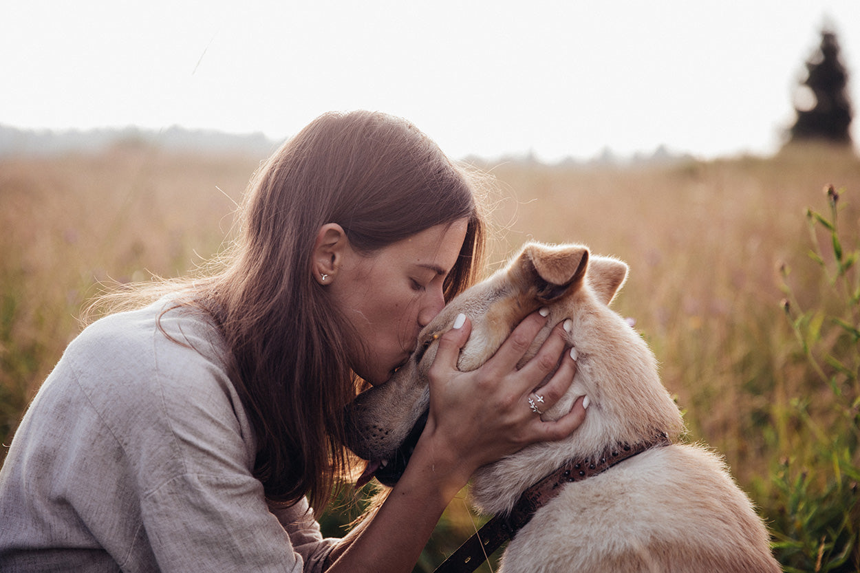 Woman kissing a dog in a field