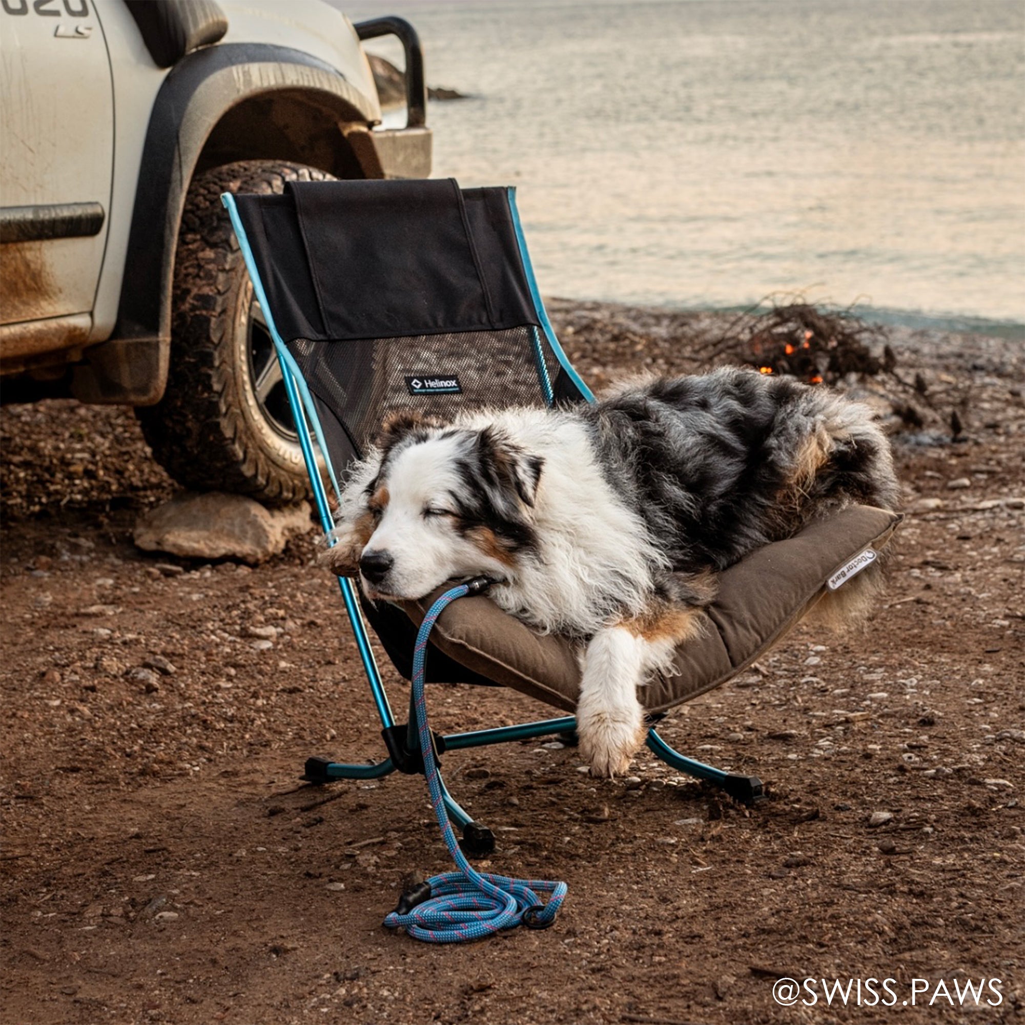 Tuenne Handcrafted Rope Dog Leash – Built with Mammut® Certified Climbing Rope