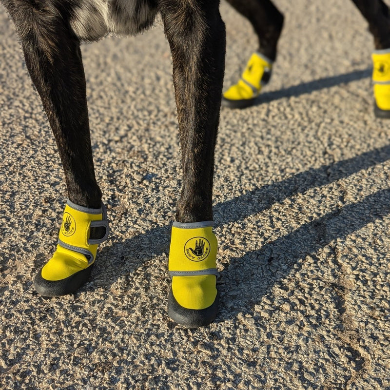 Body Glove Paw Protector Booties – All-Season Dog Paw Safety Gear