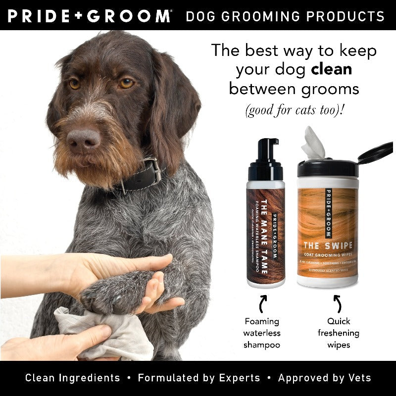 Pride + Groom The Mane Tame – Waterless Foaming Dog Shampoo