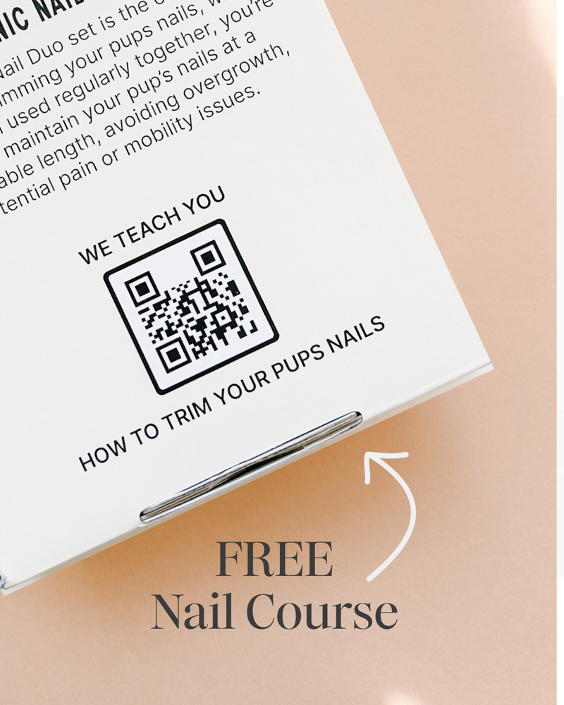 Upwell Iconic Nail Duo Set