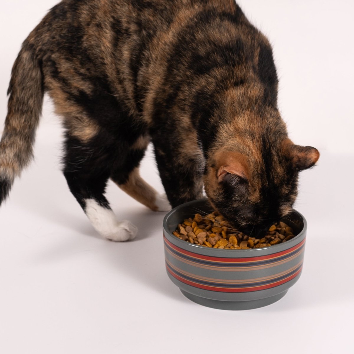 Pendleton Ceramic Food & Water Pet Bowl – Iconic Style for Mealtime