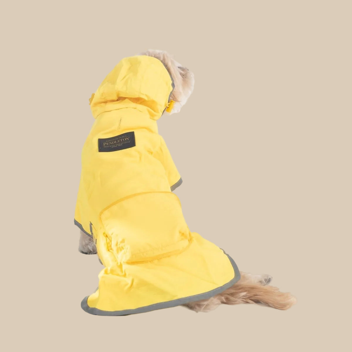 Pendleton Glacier National Park Waterproof Raincoat for Dogs