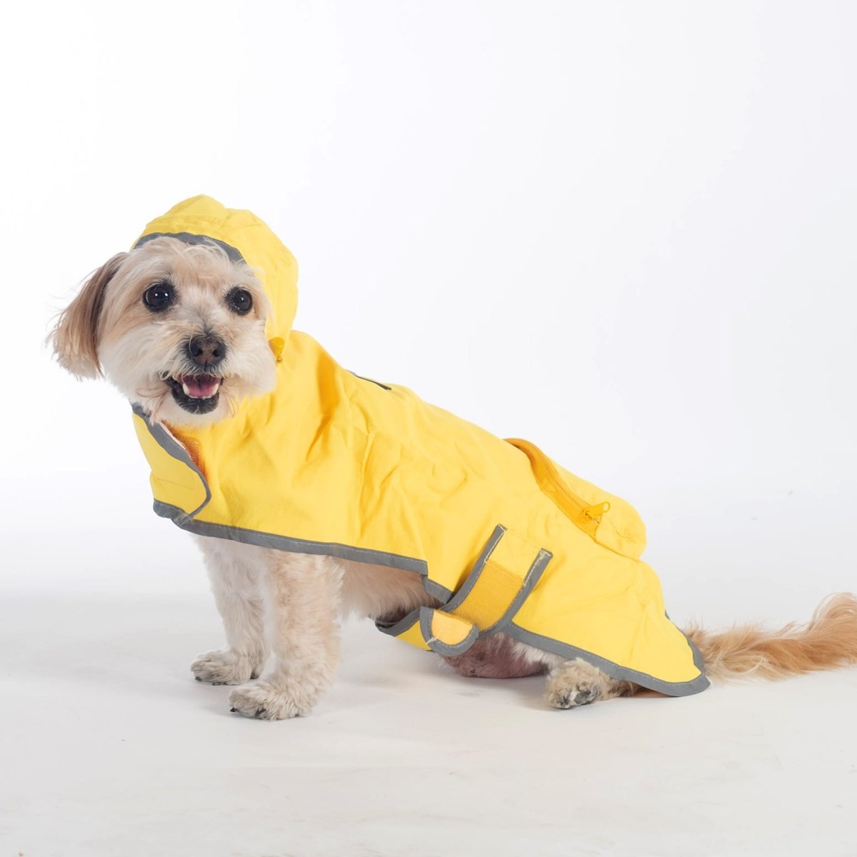 Pendleton Glacier National Park Waterproof Raincoat for Dogs