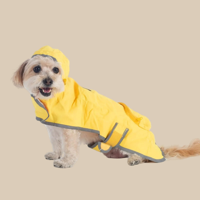 Pendleton Glacier National Park Waterproof Raincoat for Dogs
