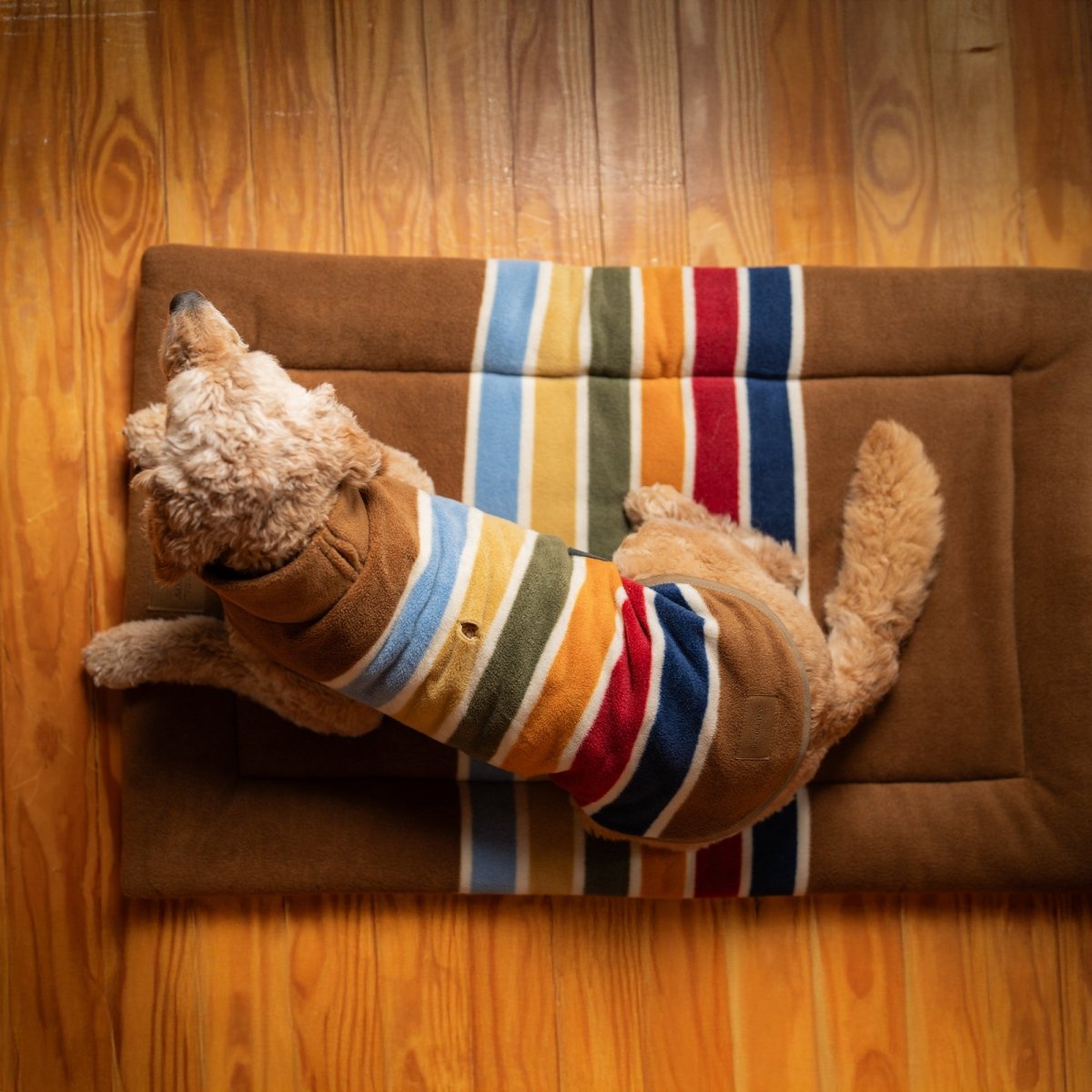 Pendleton National Park Comfort Cushion