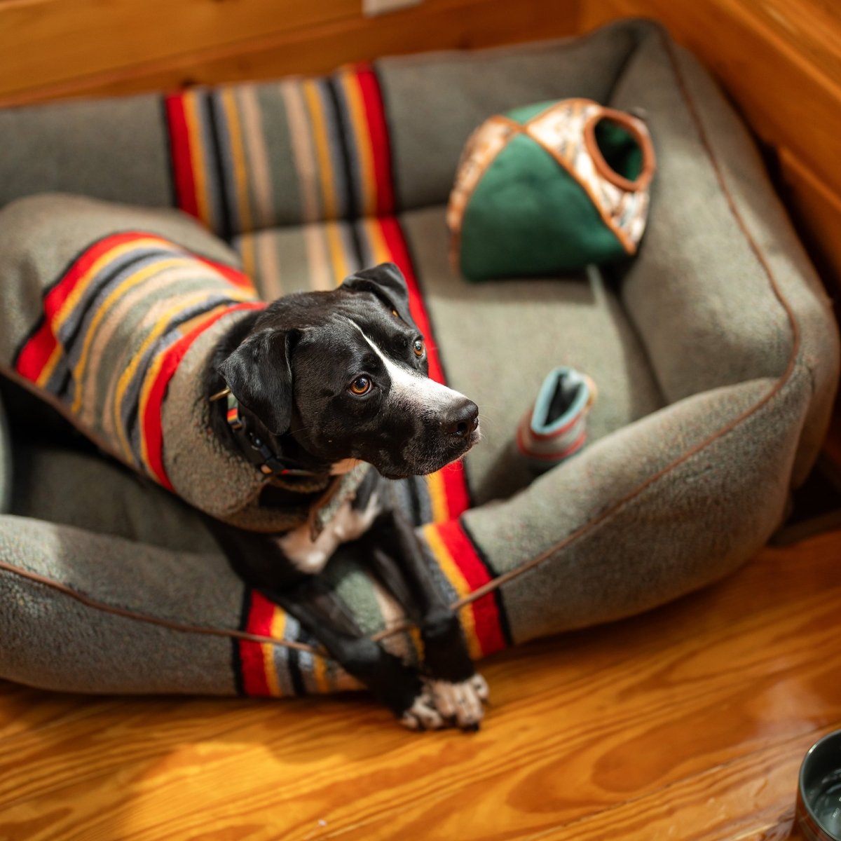 Pendleton Vintage Camp Berber Dog Coat