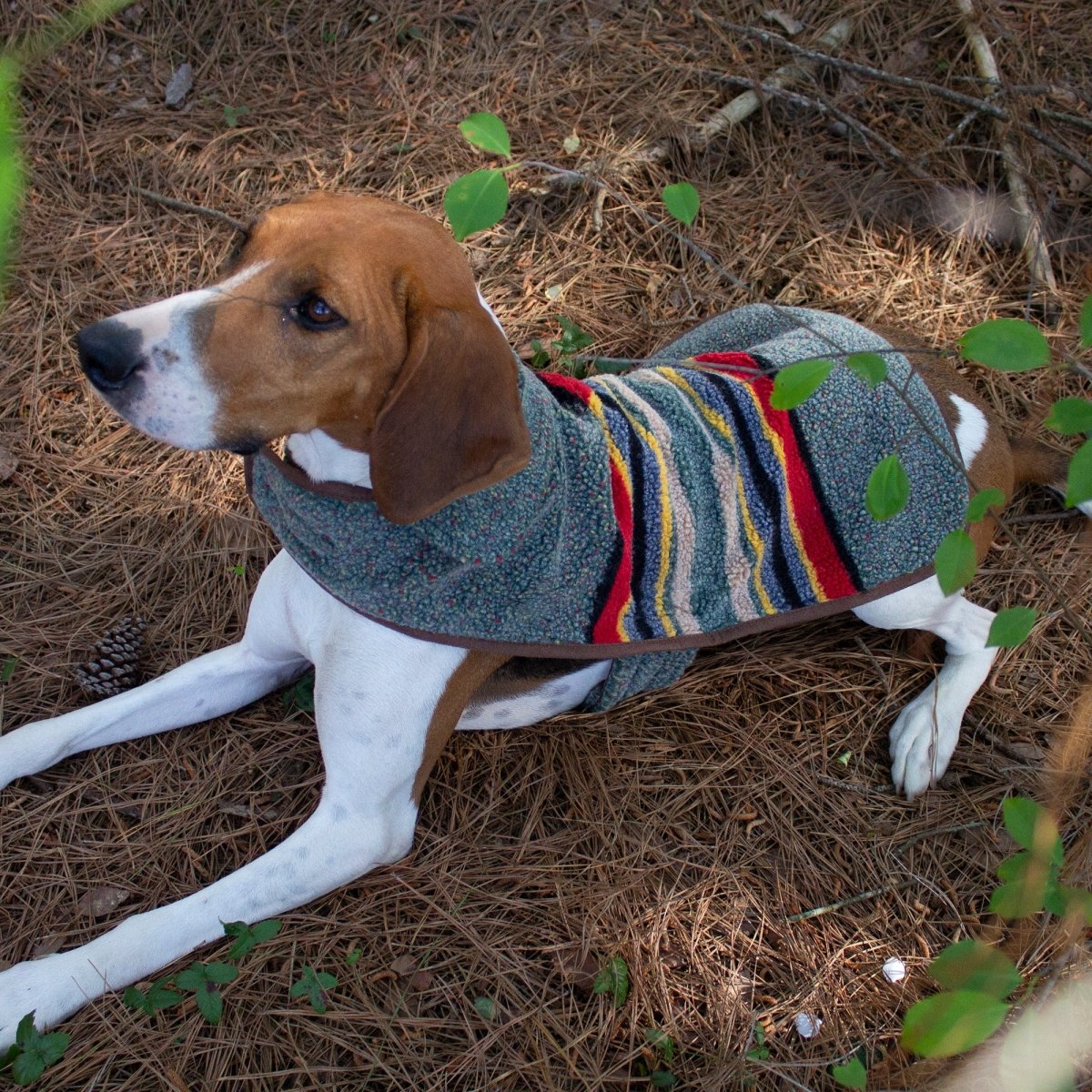 Pendleton Vintage Camp Berber Dog Coat