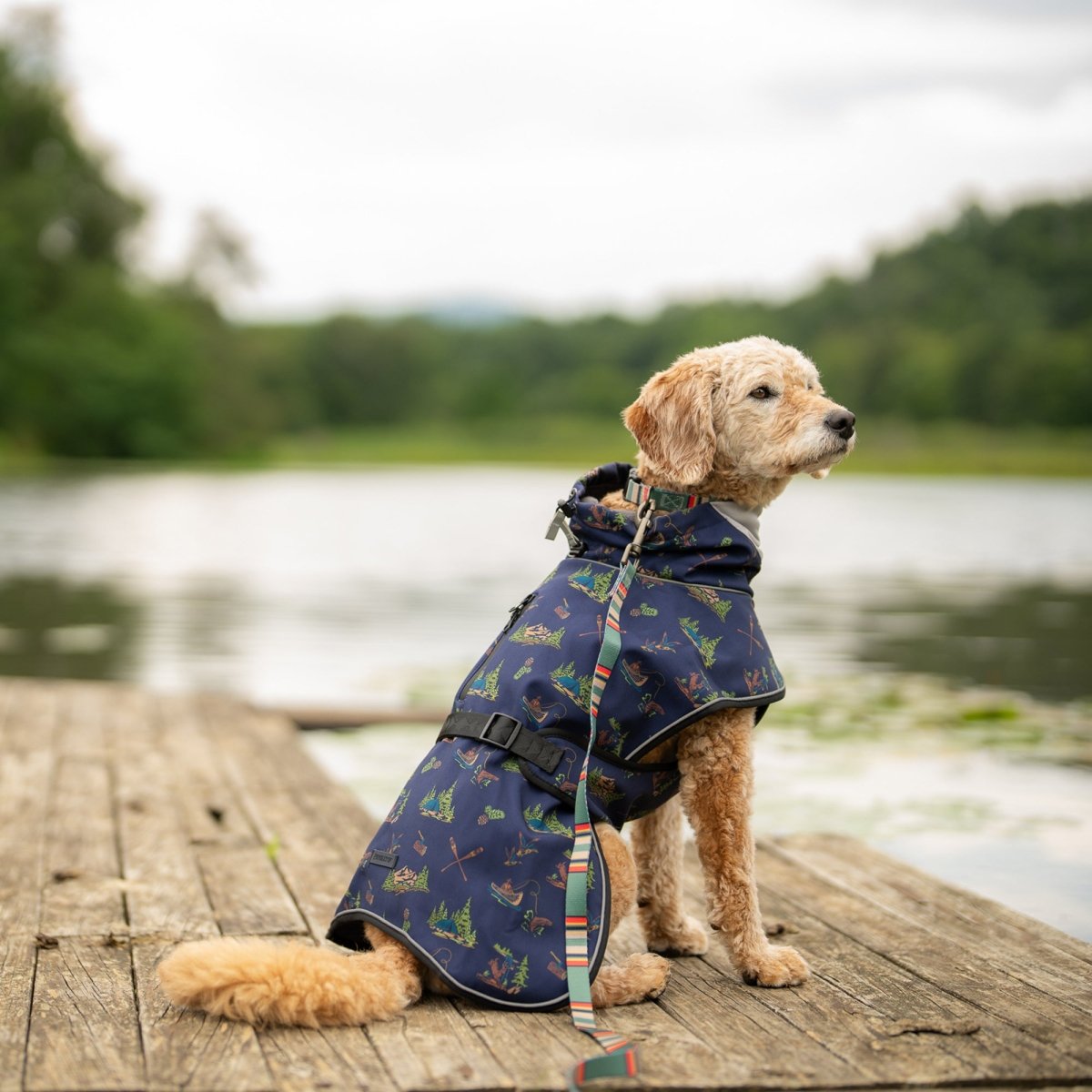 Pendleton Waterproof Adventure Pet Coat – All-Weather Heritage Protection