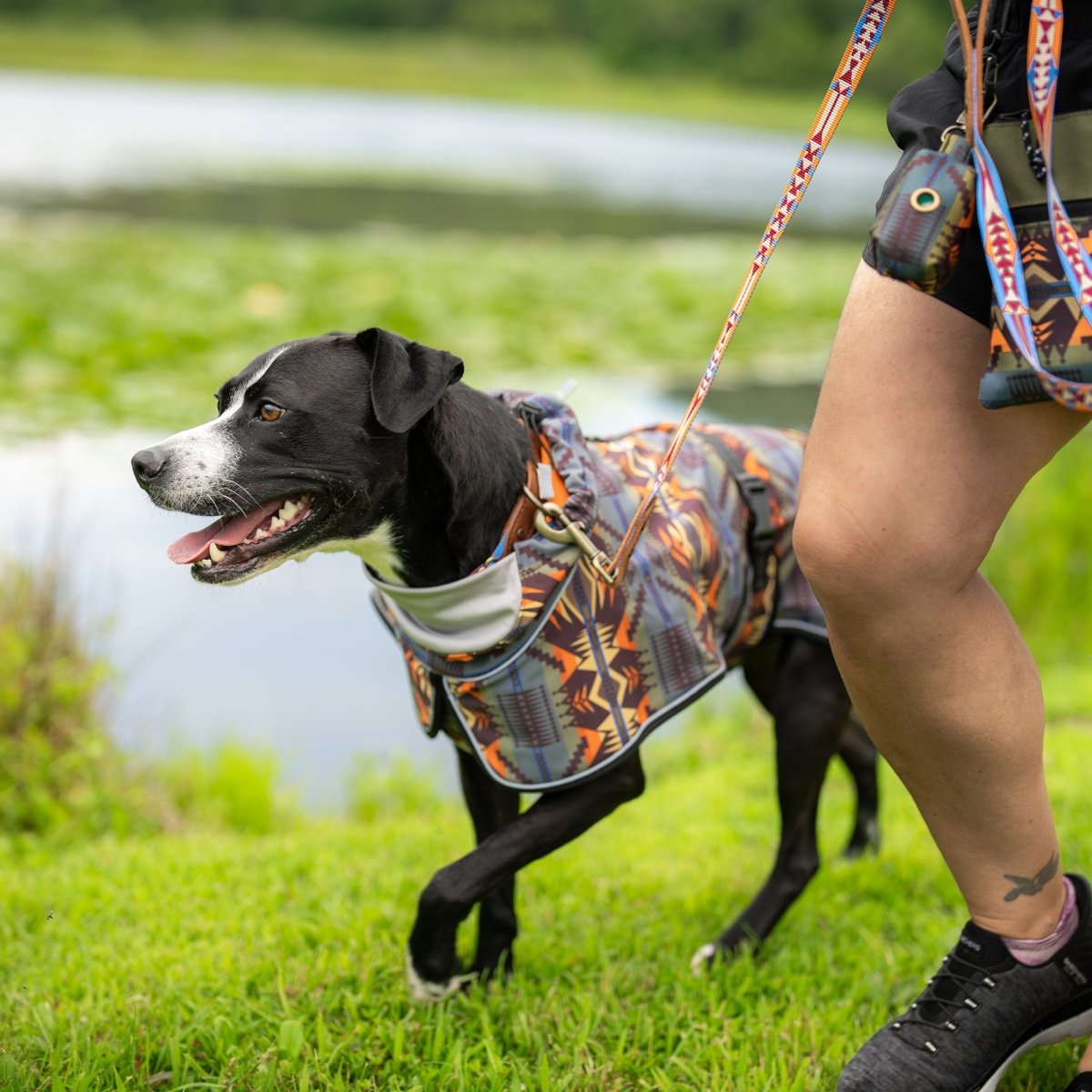 Pendleton Waterproof Adventure Pet Coat – All-Weather Heritage Protection