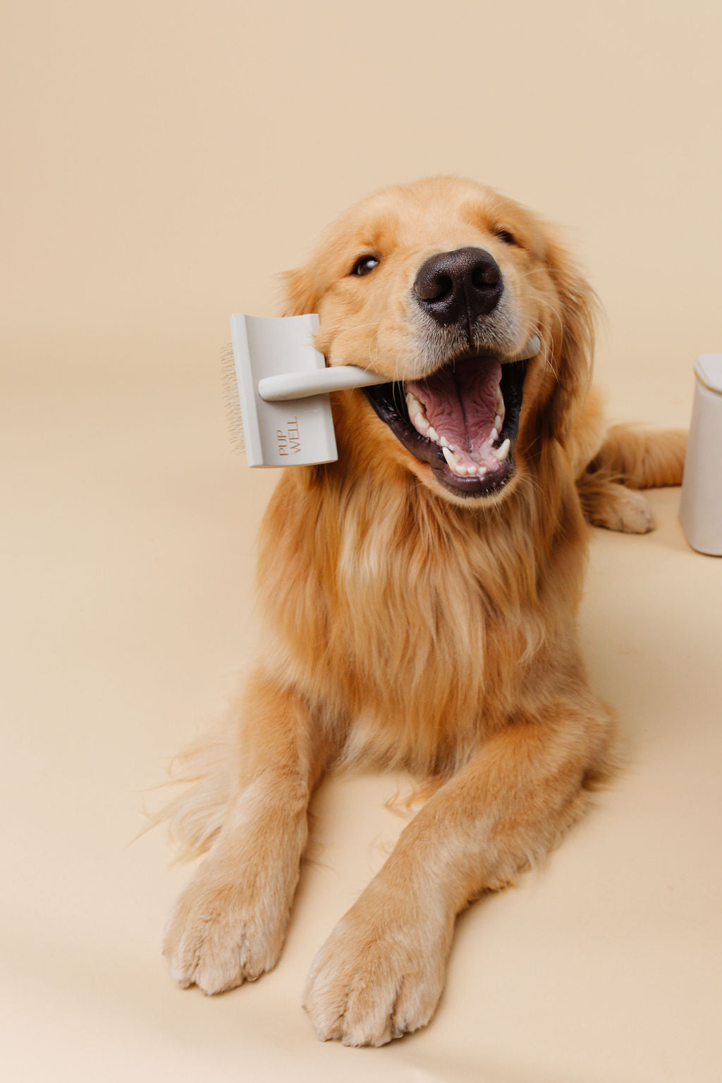 Pupwell Everyday Slicker Brush