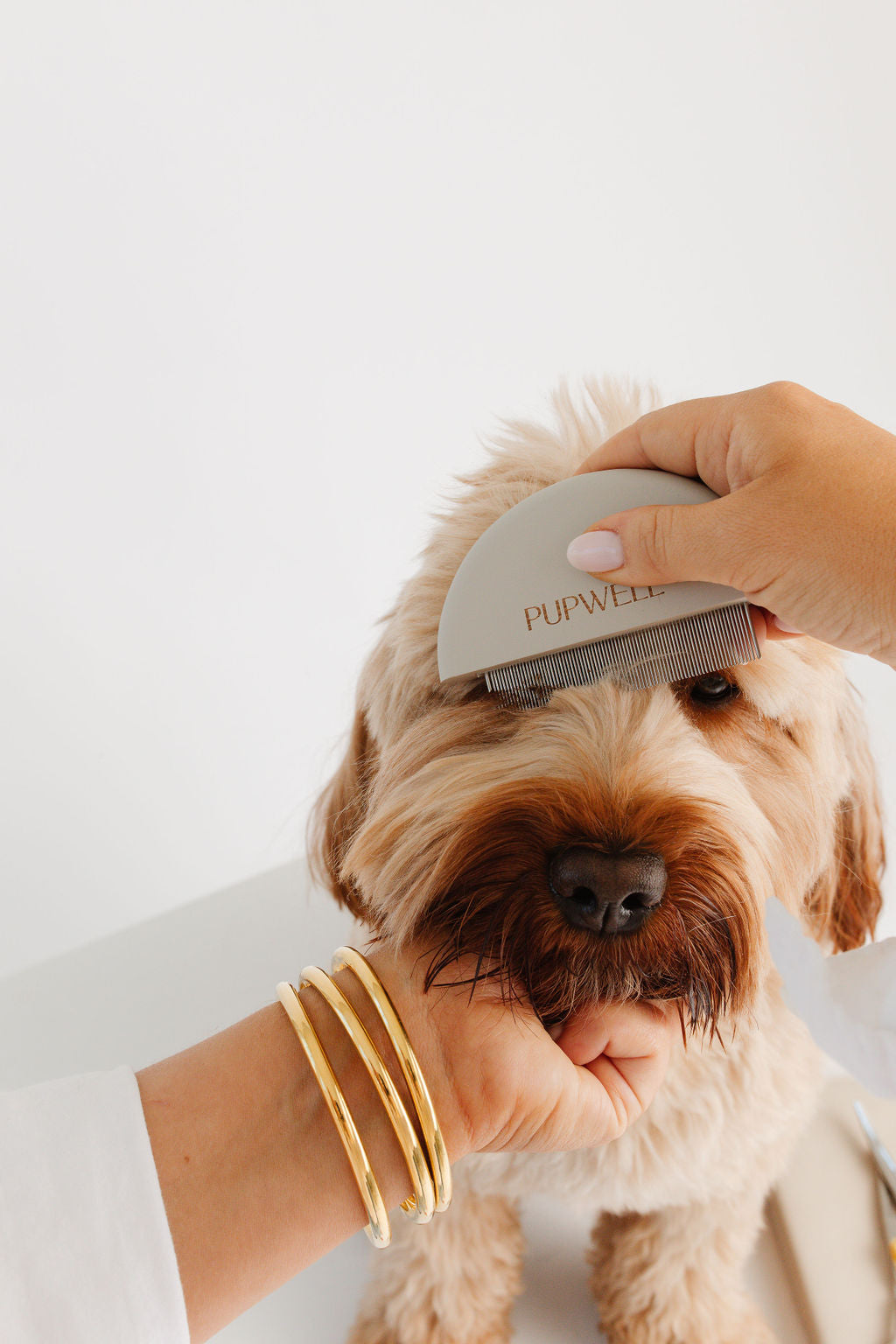 Pupwell Detailer Comb