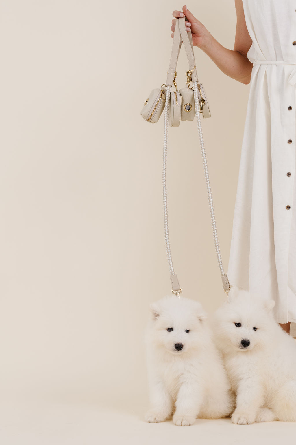 Pupwell Everyday Walk Kit