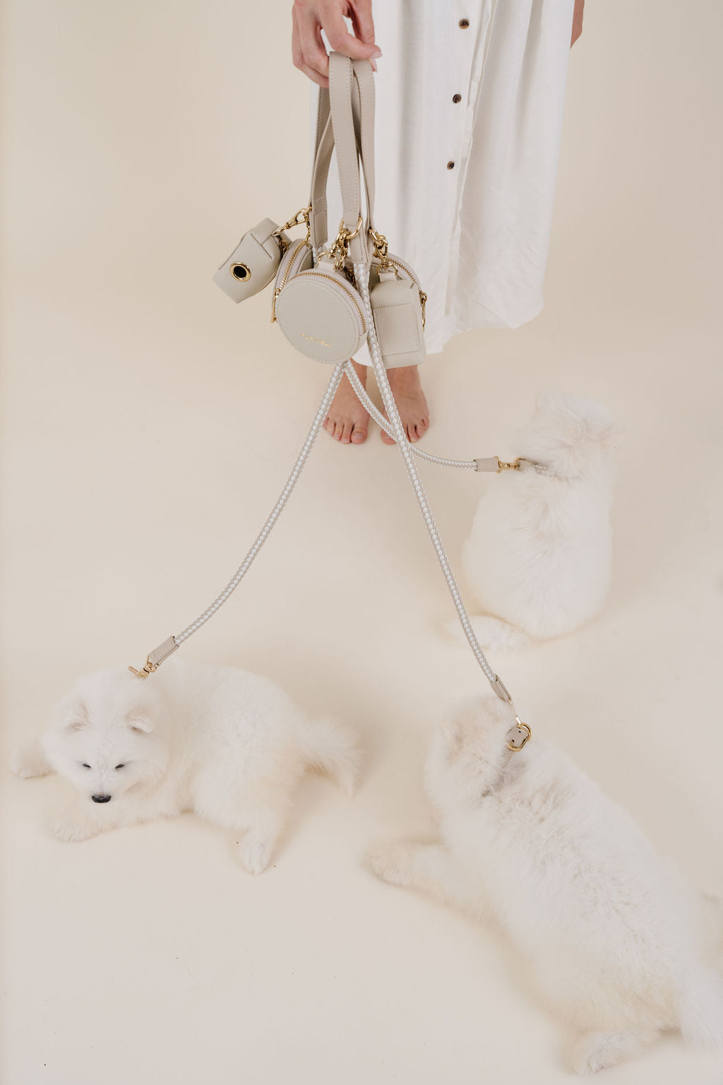 Pupwell Everyday Walk Kit