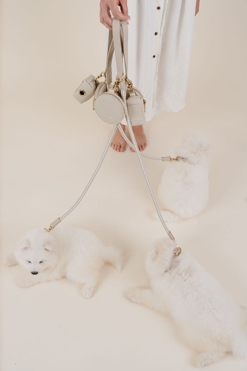 Pupwell Everyday Walk Kit