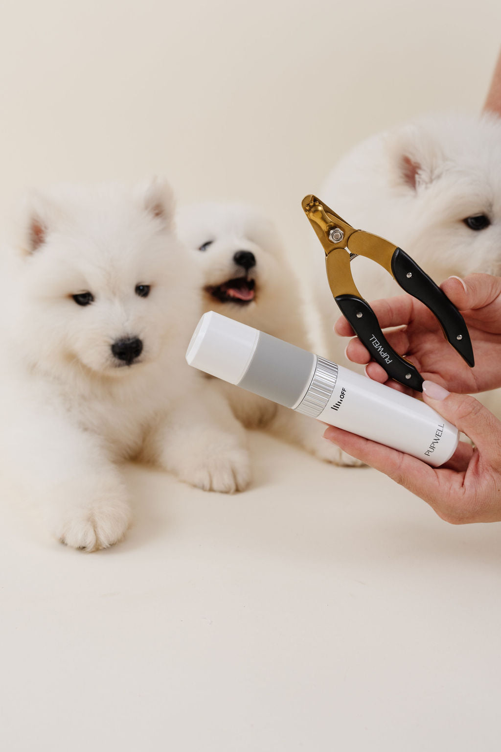 Upwell Iconic Nail Duo Set