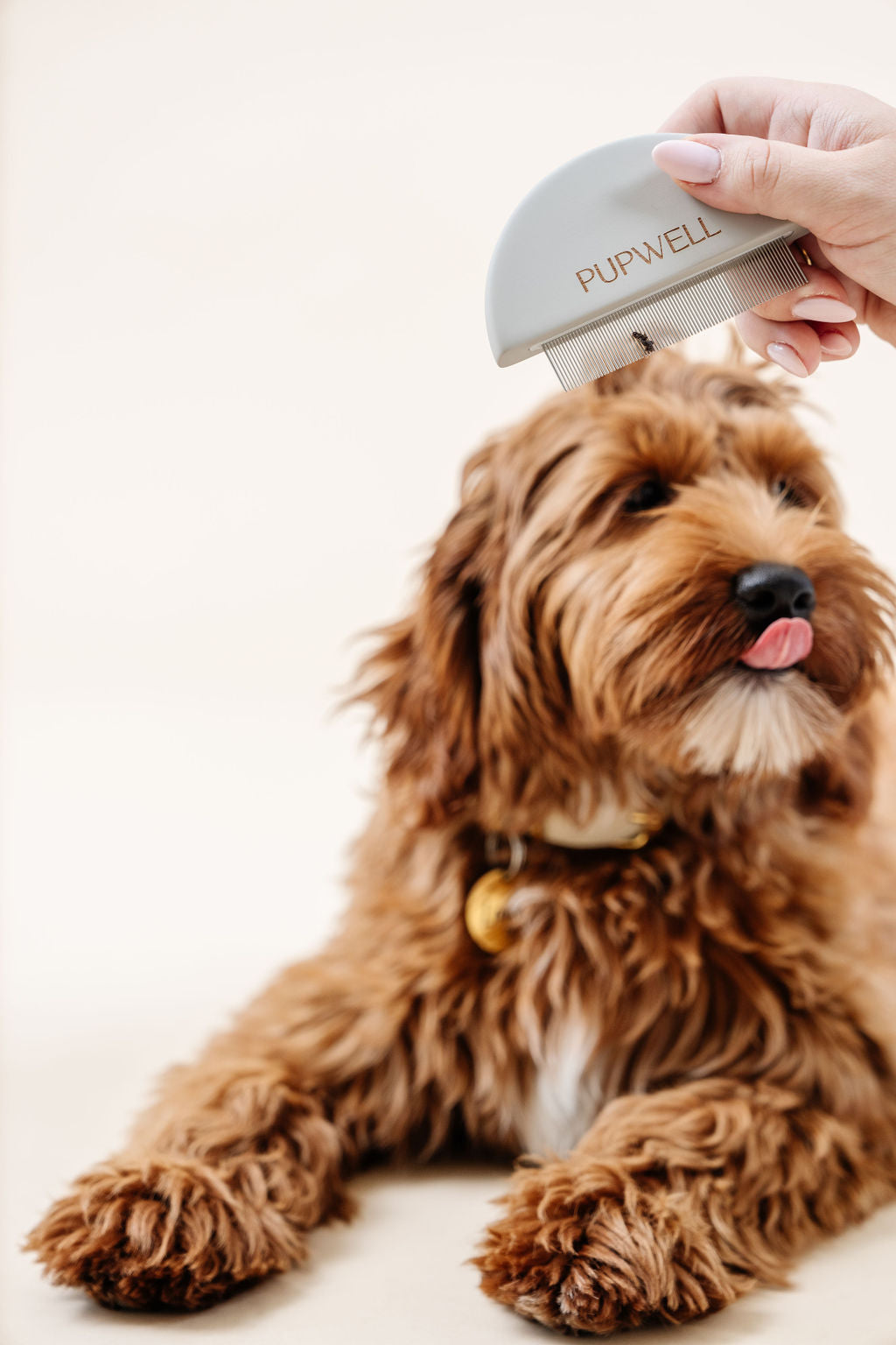 Pupwell Detailer Comb