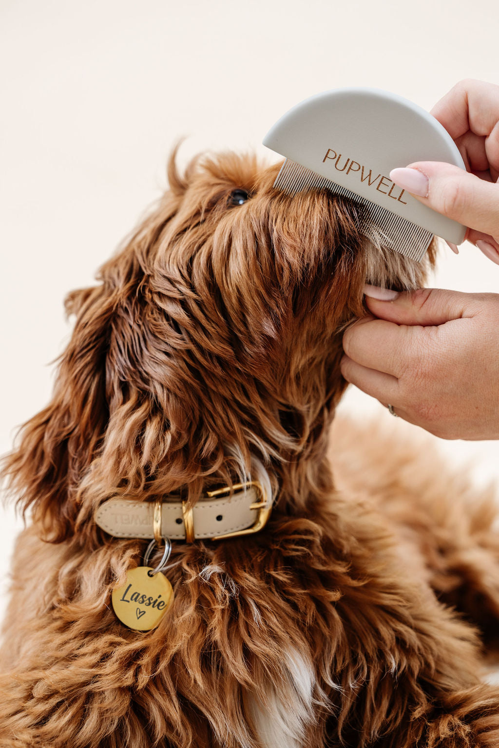 Pupwell Pup Parent Essentials Kit